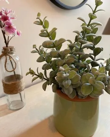 Spacieux T3 Coeur De * 索姆河畔圣瓦莱里