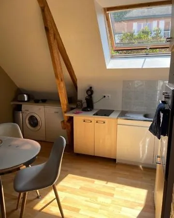 公寓 Spacieux T3 Coeur De