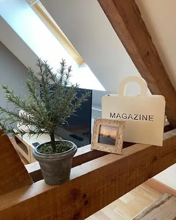 Daire Spacieux T3 Coeur De *