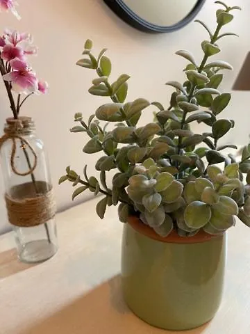 Spacieux T3 Coeur De * Saint-Valery-en-Caux